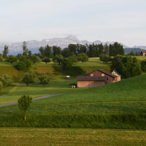 Säntis